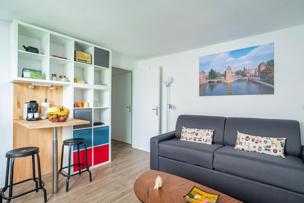 Le Saint-Florent - Proche Centre, Chu, Zenith Et Gare ستراسبورغ المظهر الخارجي الصورة